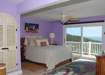 Unicorn Villa Cruz Bay